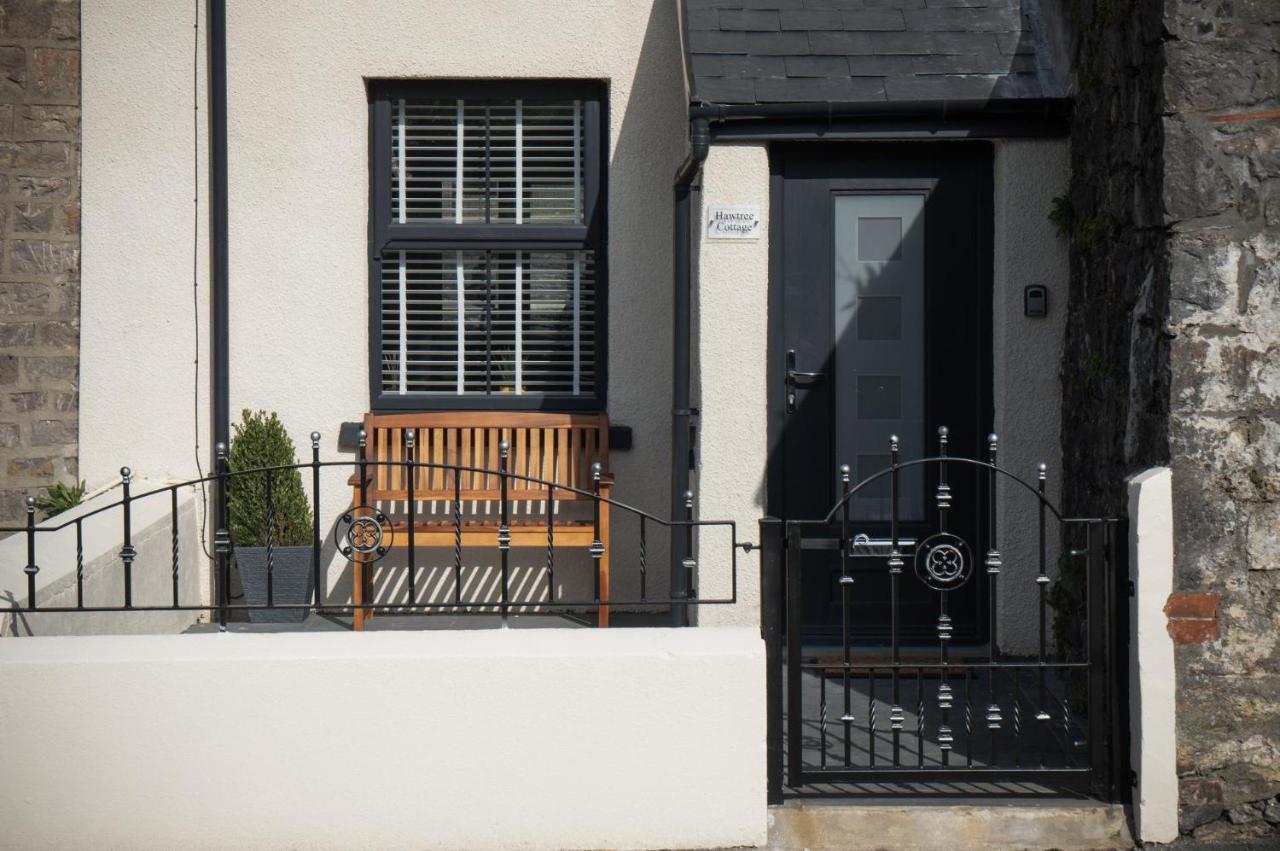 Hawtree Cottage - 2 Bedroom Cottage - Tenby Exteriör bild